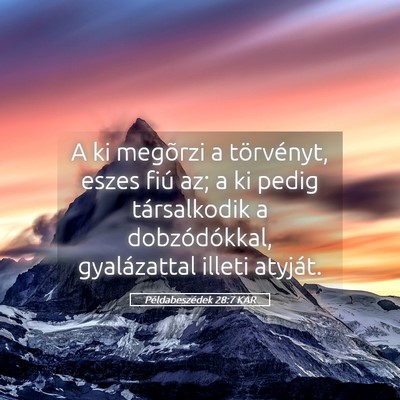 Picture 05 - Példabeszédek 28:7 KAR - A ki megõrzi a törvényt, eszes fiú az; a ki - Bible Verse Picture