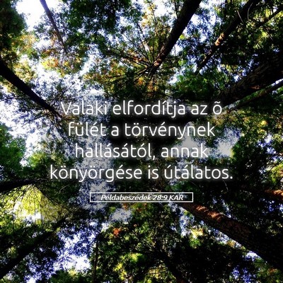 Picture 05 - Példabeszédek 28:9 KAR - Valaki elfordítja az õ fülét a törvénynek - Bible Verse Picture