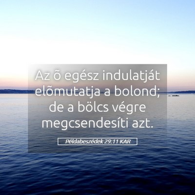 Picture 05 - Példabeszédek 29:11 KAR - Az õ egész indulatját elõmutatja a bolond; de - Bible Verse Picture