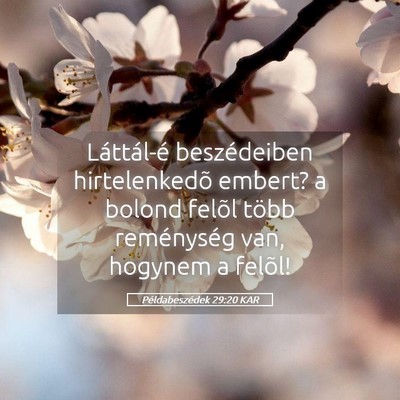 Picture 05 - Példabeszédek 29:20 KAR - Láttál-é beszédeiben hirtelenkedõ embert? a - Bible Verse Picture