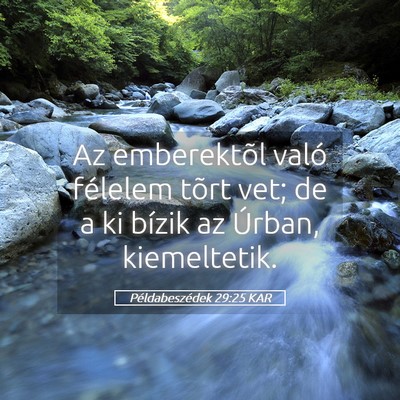 Picture 05 - Példabeszédek 29:25 KAR - Az emberektõl való félelem tõrt vet; de a ki - Bible Verse Picture