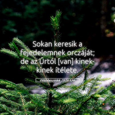 Picture 05 - Példabeszédek 29:26 KAR - Sokan keresik a fejedelemnek orczáját; de az - Bible Verse Picture