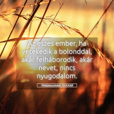 Picture 05 - Példabeszédek 29:9 KAR - Az eszes ember, ha vetekedik a bolonddal, akár - Bible Verse Picture
