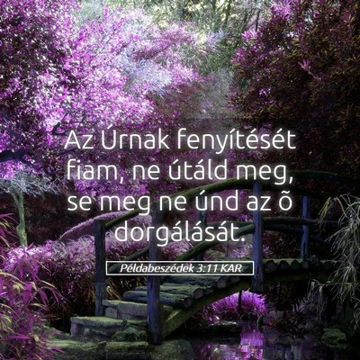 Picture 05 - Példabeszédek 3:11 KAR - Az Úrnak fenyítését fiam, ne útáld meg, se - Bible Verse Picture