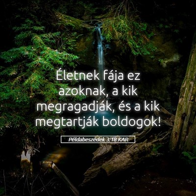 Picture 05 - Példabeszédek 3:18 KAR - Életnek fája ez azoknak, a kik megragadják, - Bible Verse Picture