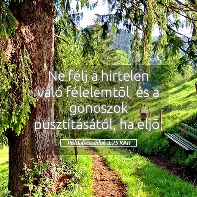 Picture 05 - Példabeszédek 3:25 KAR - Ne félj a hirtelen való félelemtõl, és a - Bible Verse Picture
