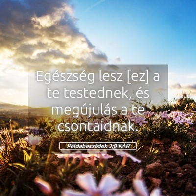 Picture 05 - Példabeszédek 3:8 KAR - Egészség lesz [ez] a te testednek, és - Bible Verse Picture
