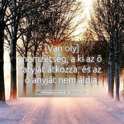 Picture 05 - Példabeszédek 30:11 KAR - [Van oly] nemzetség, a ki az õ atyját - Bible Verse Picture