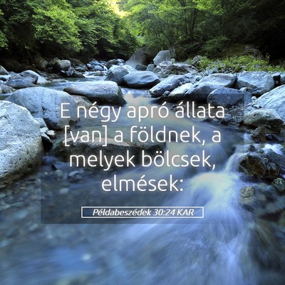 Picture 05 - Példabeszédek 30:24 KAR - E négy apró állata [van] a földnek, a melyek - Bible Verse Picture