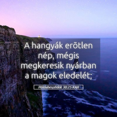 Picture 05 - Példabeszédek 30:25 KAR - A hangyák erõtlen nép, mégis megkeresik - Bible Verse Picture