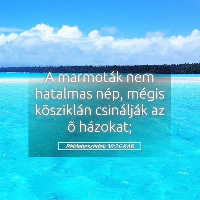 Picture 05 - Példabeszédek 30:26 KAR - A marmoták nem hatalmas nép, mégis kõsziklán - Bible Verse Picture