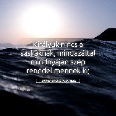 Picture 05 - Példabeszédek 30:27 KAR - Királyuk nincs a sáskáknak, mindazáltal - Bible Verse Picture
