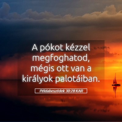 Picture 05 - Példabeszédek 30:28 KAR - A pókot kézzel megfoghatod, mégis ott van a - Bible Verse Picture