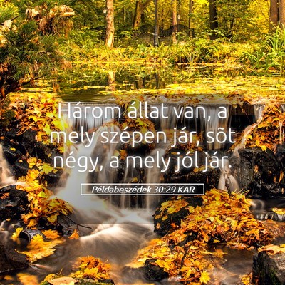 Picture 05 - Példabeszédek 30:29 KAR - Három állat van, a mely szépen jár, sõt - Bible Verse Picture