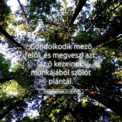 Picture 05 - Példabeszédek 31:16 KAR - Gondolkodik mezõ felõl, és megveszi azt; az õ - Bible Verse Picture