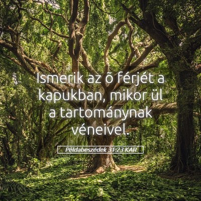 Picture 05 - Példabeszédek 31:23 KAR - Ismerik az õ férjét a kapukban, mikor ül a - Bible Verse Picture