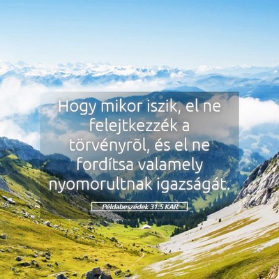 Picture 05 - Példabeszédek 31:5 KAR - Hogy mikor iszik, el ne felejtkezzék a - Bible Verse Picture