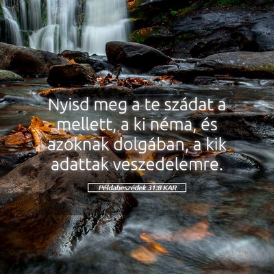 Picture 05 - Példabeszédek 31:8 KAR - Nyisd meg a te szádat a mellett, a ki néma, és - Bible Verse Picture