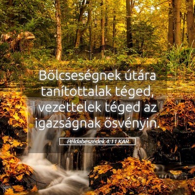 Picture 05 - Példabeszédek 4:11 KAR - Bölcseségnek útára tanítottalak téged, - Bible Verse Picture