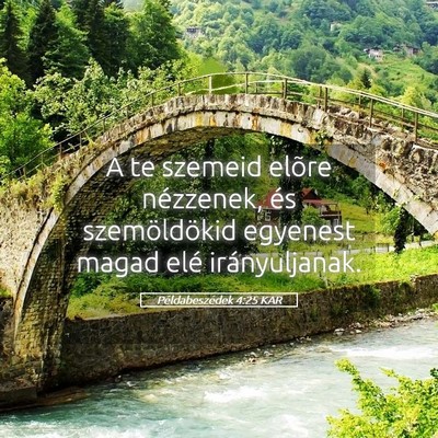 Picture 05 - Példabeszédek 4:25 KAR - A te szemeid elõre nézzenek, és szemöldökid - Bible Verse Picture