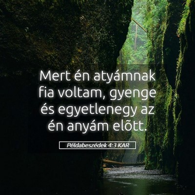 Picture 05 - Példabeszédek 4:3 KAR - Mert én atyámnak fia voltam, gyenge és - Bible Verse Picture