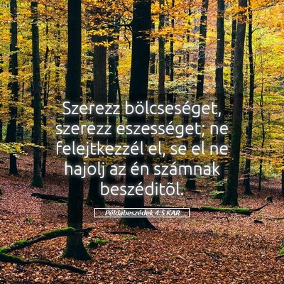 Picture 05 - Példabeszédek 4:5 KAR - Szerezz bölcseséget, szerezz eszességet; ne - Bible Verse Picture