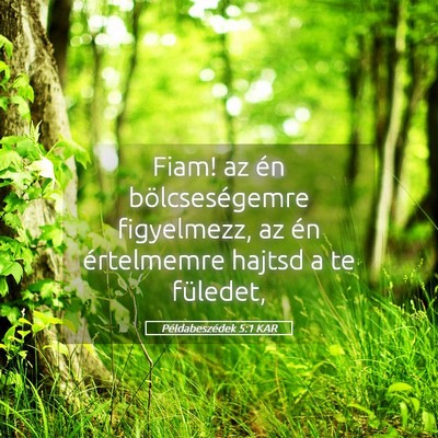 Picture 05 - Példabeszédek 5:1 KAR - Fiam! az én bölcseségemre figyelmezz, az én - Bible Verse Picture