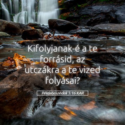 Picture 05 - Példabeszédek 5:16 KAR - Kifolyjanak-é a te forrásid, az utczákra a te - Bible Verse Picture