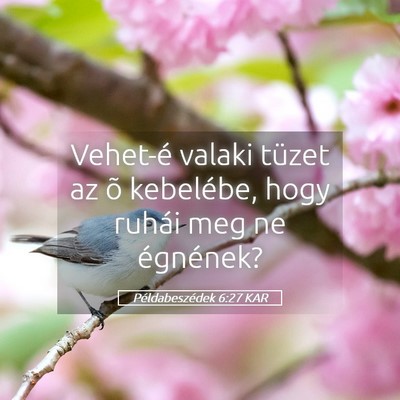 Picture 05 - Példabeszédek 6:27 KAR - Vehet-é valaki tüzet az õ kebelébe, hogy - Bible Verse Picture