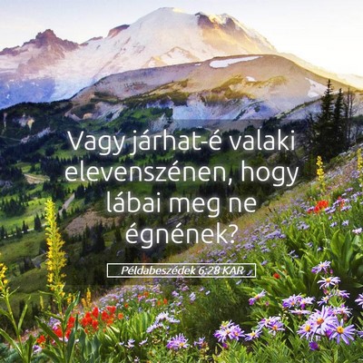 Picture 05 - Példabeszédek 6:28 KAR - Vagy járhat-é valaki elevenszénen, hogy lábai - Bible Verse Picture