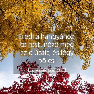 Picture 05 - Példabeszédek 6:6 KAR - Eredj a hangyához, te rest, nézd meg az õ - Bible Verse Picture