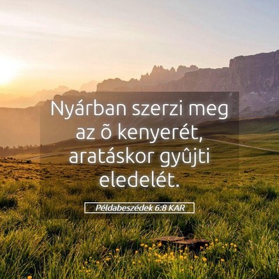 Picture 05 - Példabeszédek 6:8 KAR - Nyárban szerzi meg az õ kenyerét, aratáskor - Bible Verse Picture
