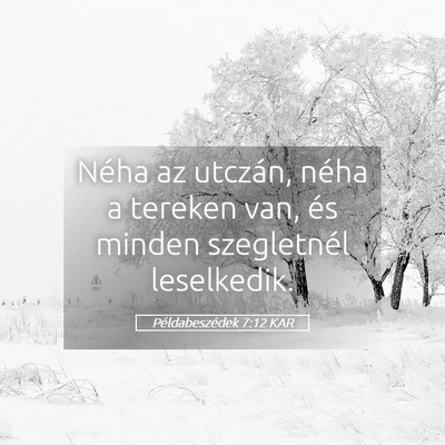 Picture 05 - Példabeszédek 7:12 KAR - Néha az utczán, néha a tereken van, és minden - Bible Verse Picture