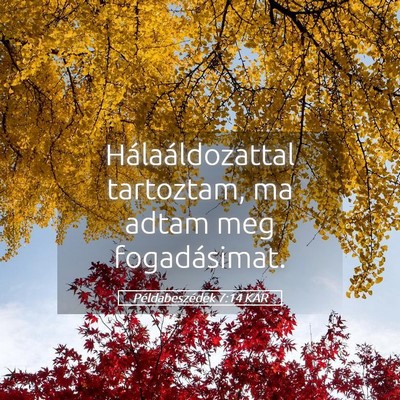 Picture 05 - Példabeszédek 7:14 KAR - Hálaáldozattal tartoztam, ma adtam meg - Bible Verse Picture