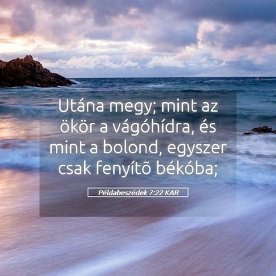 Picture 05 - Példabeszédek 7:22 KAR - Utána megy; mint az ökör a vágóhídra, és - Bible Verse Picture