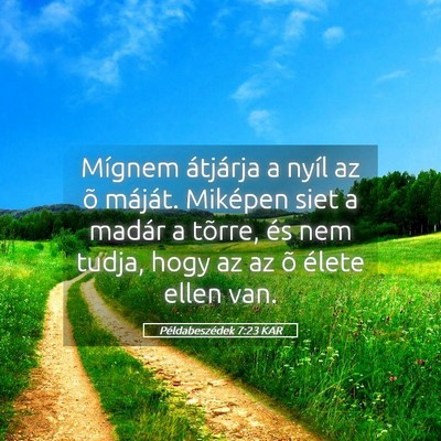 Picture 05 - Példabeszédek 7:23 KAR - Mígnem átjárja a nyíl az õ máját. Miképen - Bible Verse Picture