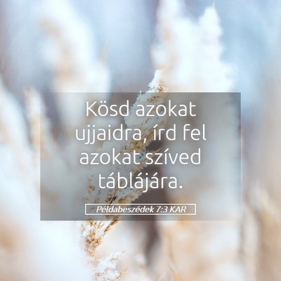 Picture 05 - Példabeszédek 7:3 KAR - Kösd azokat ujjaidra, írd fel azokat szíved - Bible Verse Picture