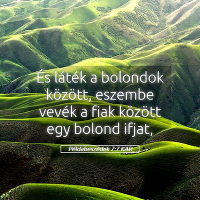 Picture 05 - Példabeszédek 7:7 KAR - És láték a bolondok között, eszembe vevék a - Bible Verse Picture