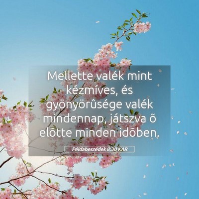 Picture 05 - Példabeszédek 8:30 KAR - Mellette valék mint kézmíves, és - Bible Verse Picture