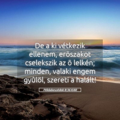 Picture 05 - Példabeszédek 8:36 KAR - De a ki vétkezik ellenem, erõszakot cselekszik - Bible Verse Picture