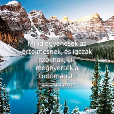 Picture 05 - Példabeszédek 8:9 KAR - Mind egyenesek az értelmesnek, és igazak - Bible Verse Picture