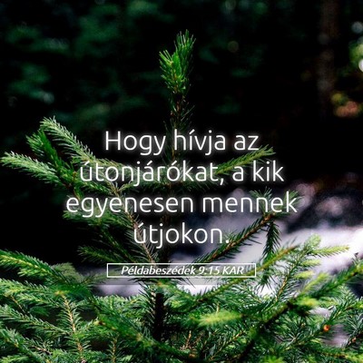 Picture 05 - Példabeszédek 9:15 KAR - Hogy hívja az útonjárókat, a kik egyenesen - Bible Verse Picture