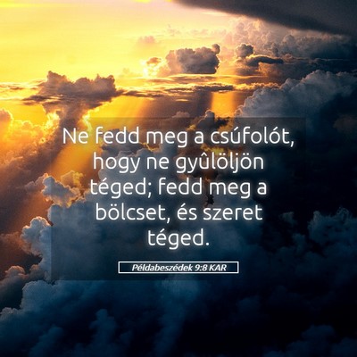 Picture 05 - Példabeszédek 9:8 KAR - Ne fedd meg a csúfolót, hogy ne gyûlöljön - Bible Verse Picture