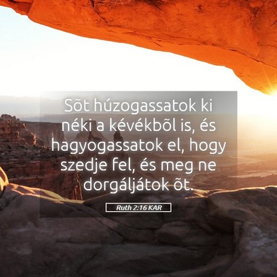 Picture 05 - Ruth 2:16 KAR - Sõt húzogassatok ki néki a kévékbõl is, és - Bible Verse Picture