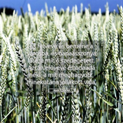 Picture 05 - Ruth 2:18 KAR - És felvevé és beméne a városba, és - Bible Verse Picture