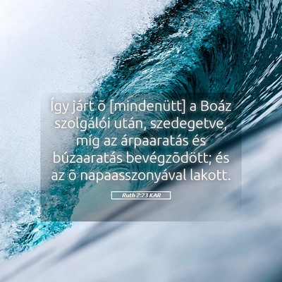 Picture 05 - Ruth 2:23 KAR - Így járt õ [mindenütt] a Boáz szolgálói - Bible Verse Picture