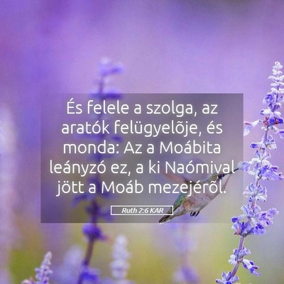 Picture 05 - Ruth 2:6 KAR - És felele a szolga, az aratók felügyelõje, - Bible Verse Picture