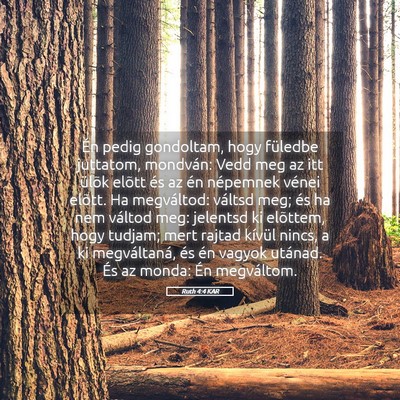 Picture 05 - Ruth 4:4 KAR - Én pedig gondoltam, hogy füledbe juttatom, - Bible Verse Picture