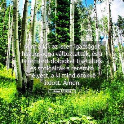 Picture 05 - Róma 1:25 KAR - Mint a kik az Isten igazságát hazugsággá - Bible Verse Picture