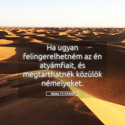 Picture 05 - Róma 11:14 KAR - Ha ugyan felingerelhetném az én atyámfiait, - Bible Verse Picture